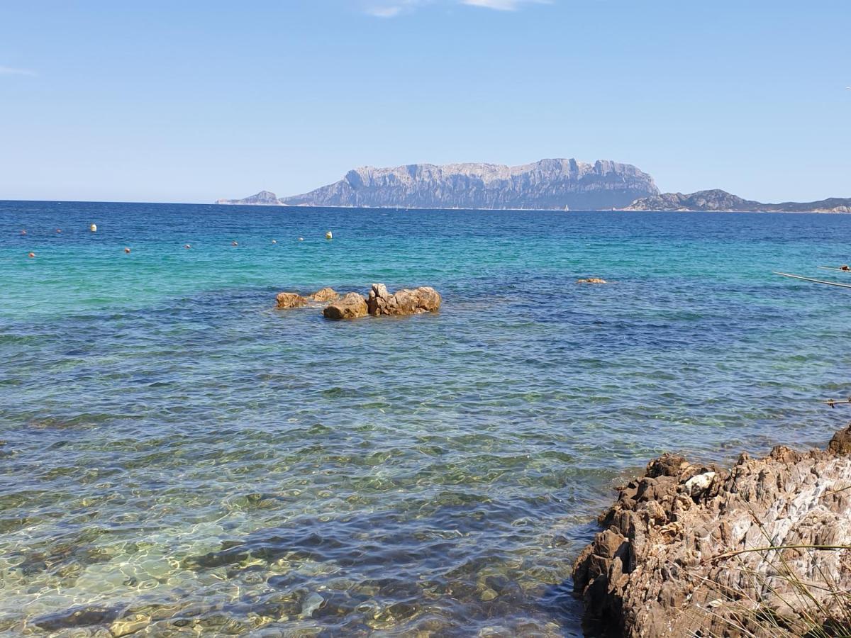 On Sardinia Beach Olbia