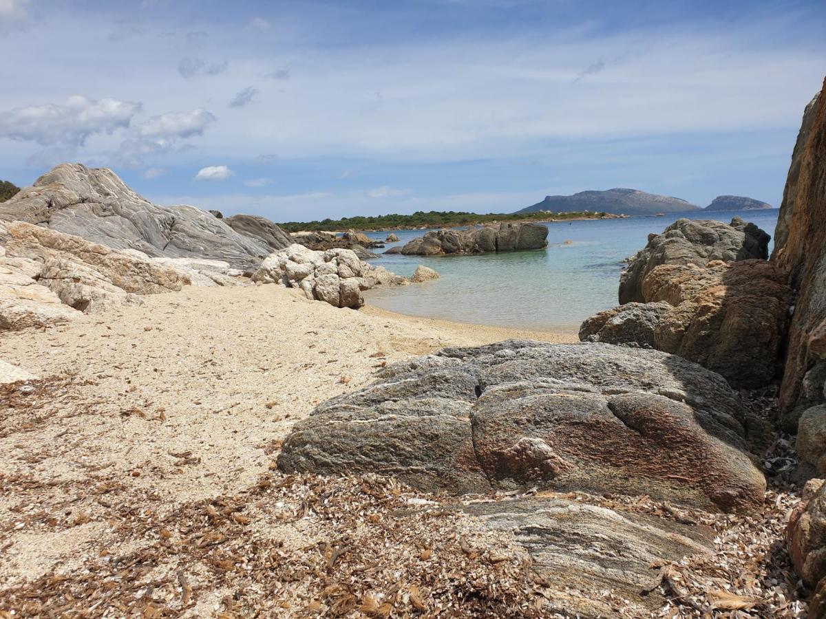 Apartment On Sardinia Beach Olbia