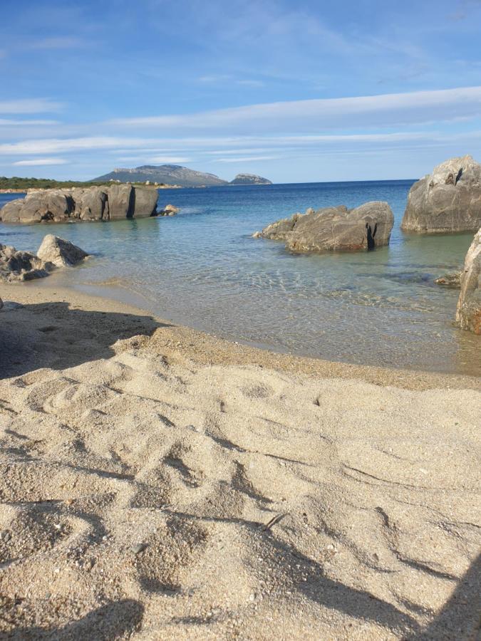 Apartment On Sardinia Beach Olbia