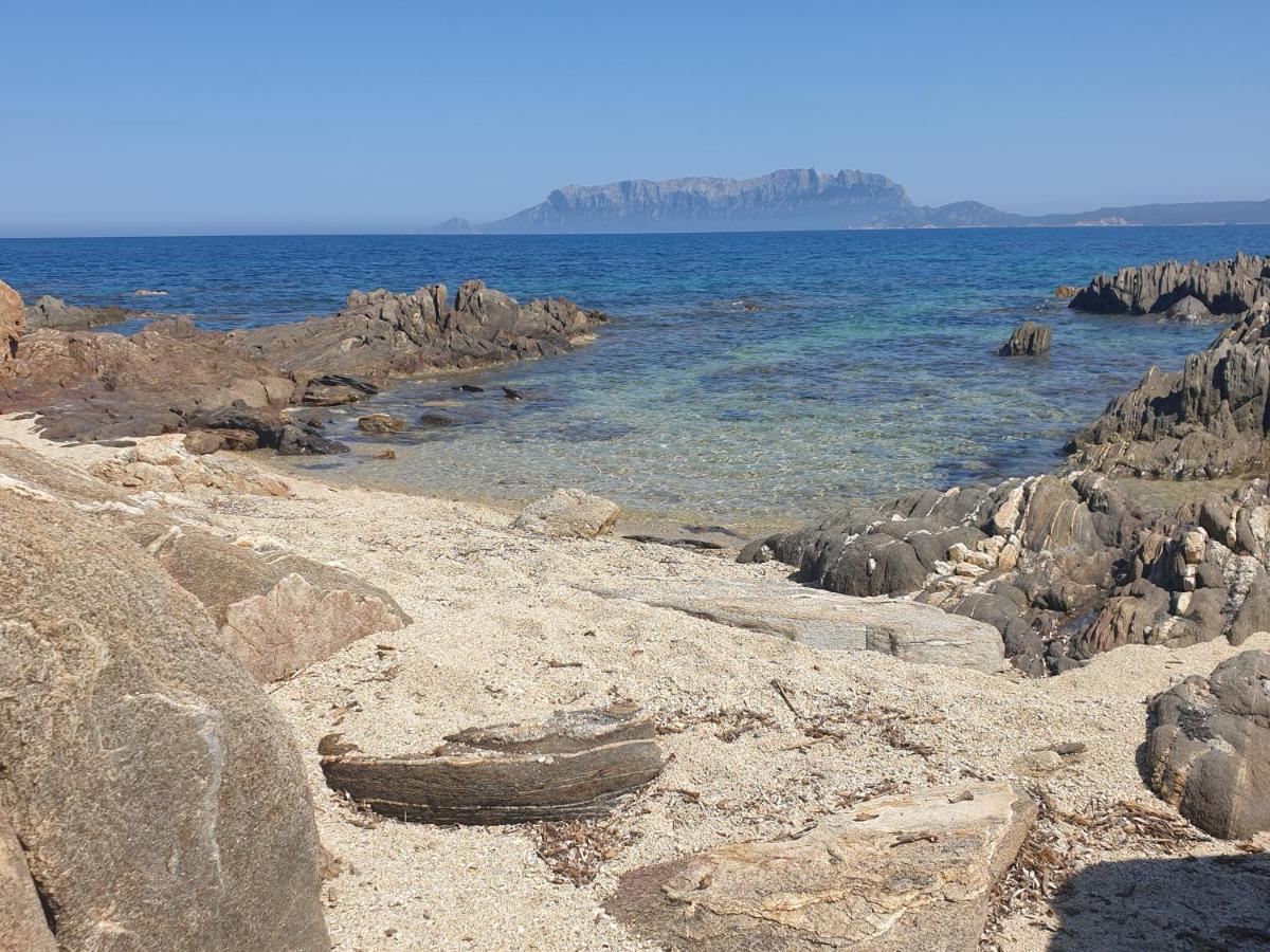 On Sardinia Beach Apartment *